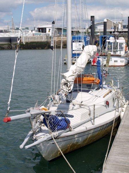 Mingming back at Plymouth